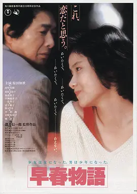夜色追凶 精品免费视频在线观看